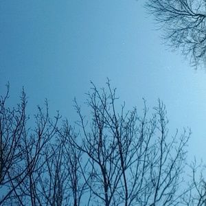 Meet your Posher, Doriska